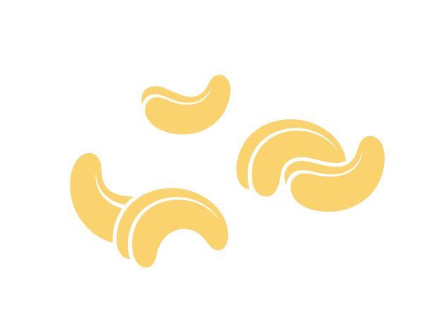 腰果。白色背景上孤立的螺母图片下载