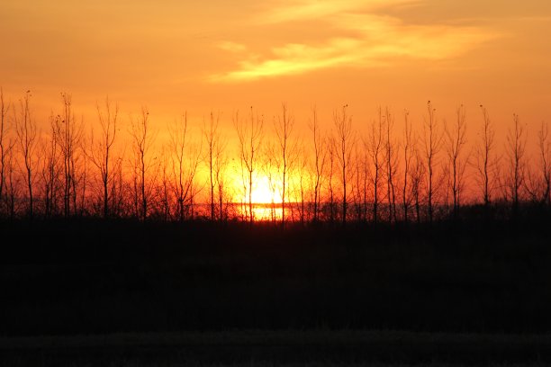 安德烈·劳伦斯，萨斯喀彻温省，1020377图片下载