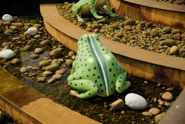 人造的绿色小青蛙围绕着一个地方图片下载