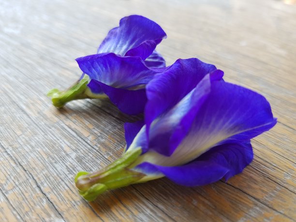 特写图片上的豌豆花阴蒂ternatea木板背景图片下载