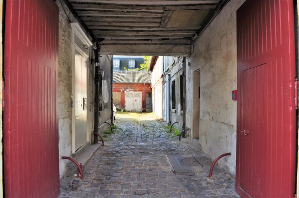 光花园图片下载