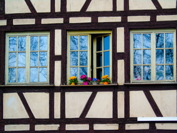 窗框插花。图片下载