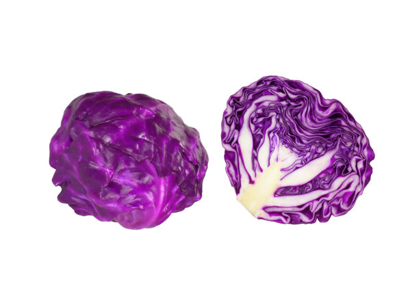 新鲜成熟的紫色卷心菜，整个切成两半，孤立在白色背景上图片下载