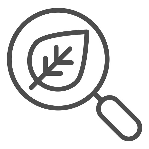 叶子线条图标搜索，放大镜和植物矢量图，生态搜索轮廓设计，适用于网页和App图片下载