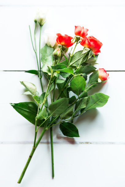 鲜红玫瑰花束在白色木质表面图片下载