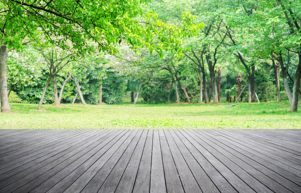 以春天绿色森林为背景的木板路图片下载