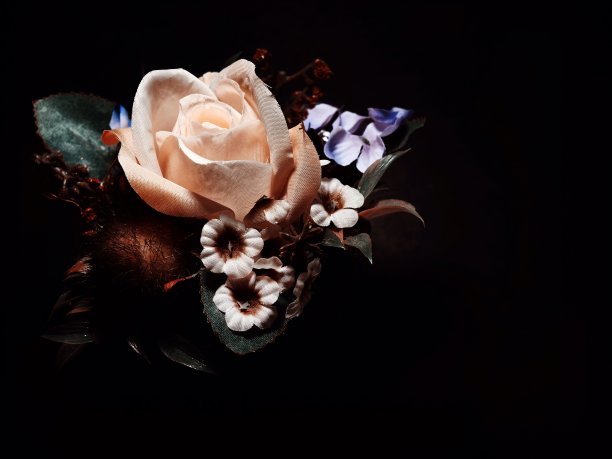 花黑色背景图片下载