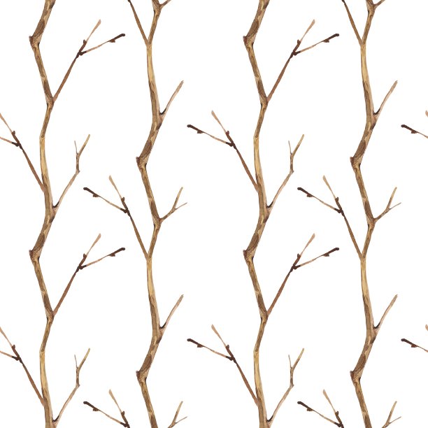无缝模式与干燥的树枝图片下载