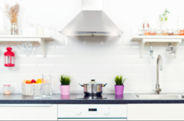 在公寓的一个照明厨房的内部。明亮的家居室内装饰项目，水果，花在一盆，钢罩。明亮的现成图片为您的个人设计图片下载