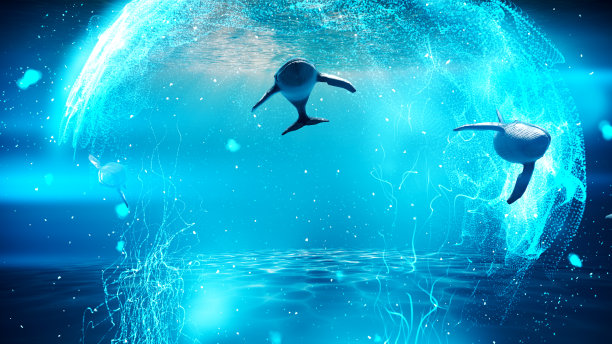 鲸鱼在接近水面的蓝水中游动图片下载