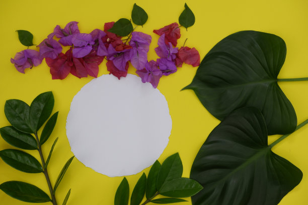 模型白色圆形纸，黄色背景和热带树叶和花的文字或图片空间。图片下载