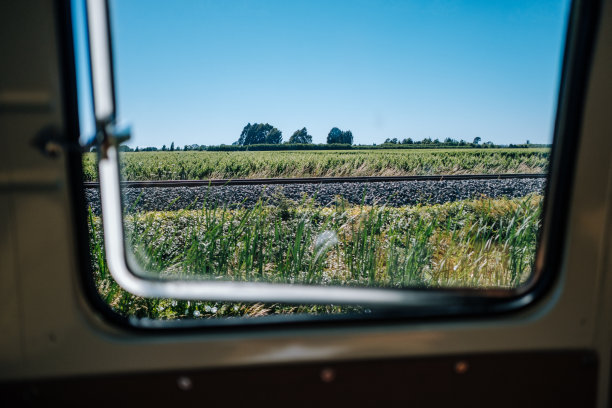 从厢式车窗看葡萄园图片下载
