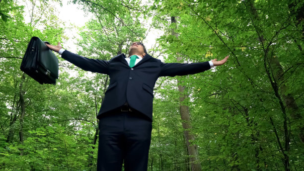 经理带着公文包张开双臂，在绿色的公园里感受大自然的活力图片下载
