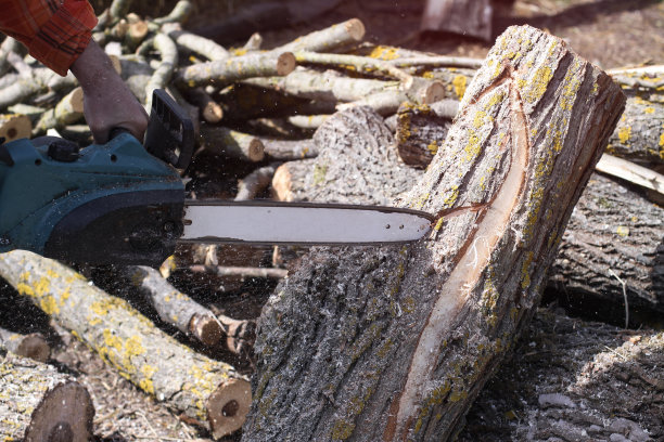 伐木工人在明亮的阳光下锯树。一个人用电锯锯木头。建筑和木材。股票的背景,照片。图片下载