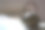 桌子上的古铜色茶壶，特写图片下载