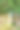 花园里的鱼和肉的金属熏制室。图片下载
