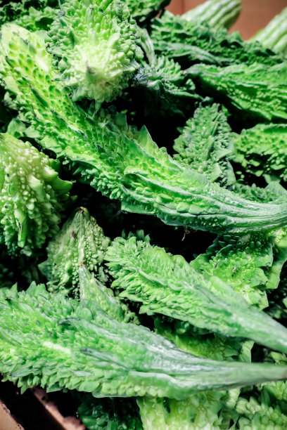 mogwa南瓜图片下载