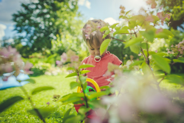 快乐的孩子园艺在夏天阳光明媚的一天图片下载