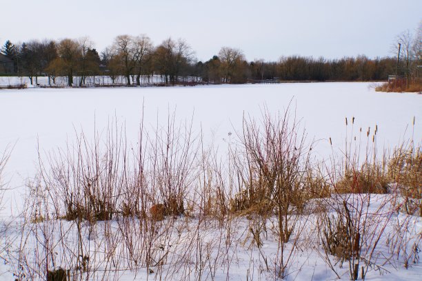 冷冻Toogood池塘图片下载