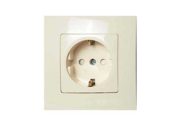 单瓣白色插座图片下载