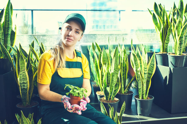 在办公室里照料鲜花的园丁女孩图片下载