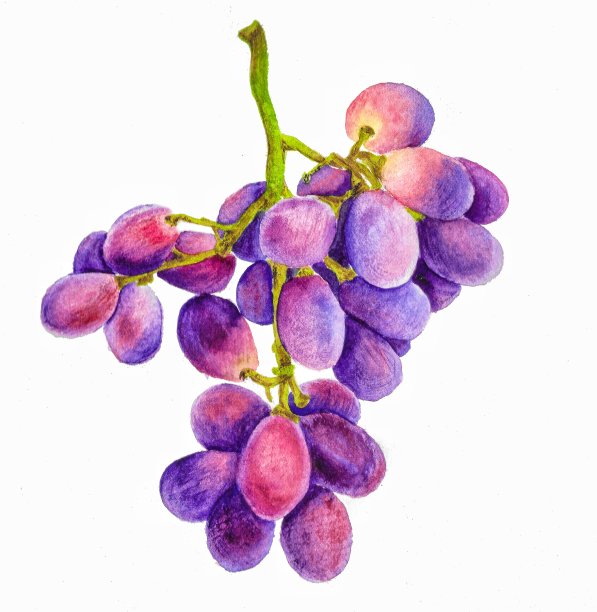 葡萄图片下载