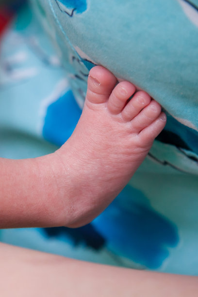 宝宝的腿图片下载