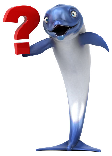 有趣的海豚- 3D插图图片下载