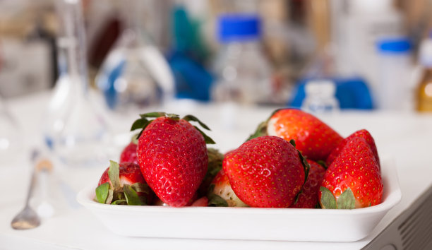 草莓与实验工具的背景图片下载