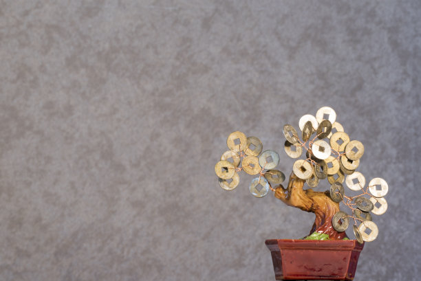 东方钱树(盆景)背景2019图片下载