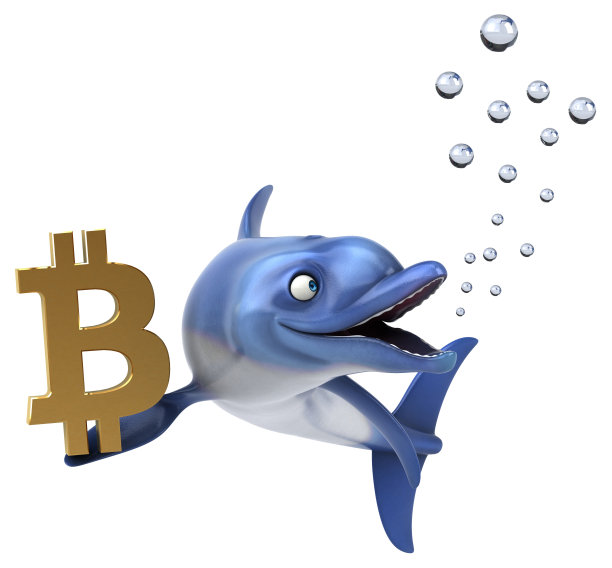 有趣的海豚- 3D插图图片下载