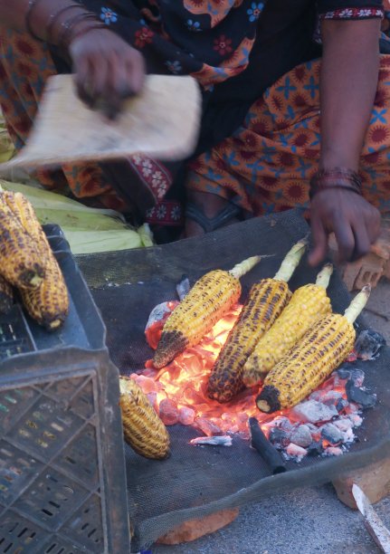 印度妇女在人行道上的印度街头市场上用扇子扇烧烤炭，这是不卫生的食物照片，德里肚子，印度图片下载