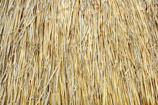 干草，稻草，干草，用于制作墙壁或屋顶的背景图片下载