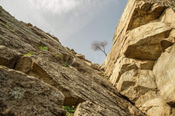孤树在云天的映衬下生长在岩石之间图片下载