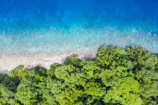 巴布亚新几内亚的热带雨林和珊瑚礁的空中摄影图片下载