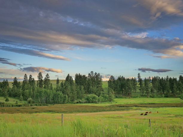 田野里的回忆图片下载