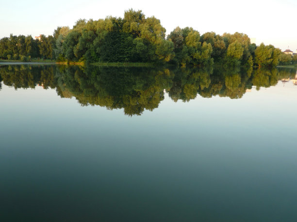 城市公园的夏天图片下载