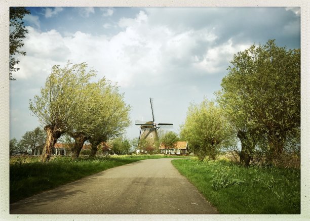 通往风车的小路图片下载