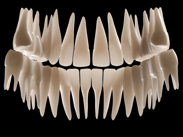 牙齿来自口腔内部图片下载