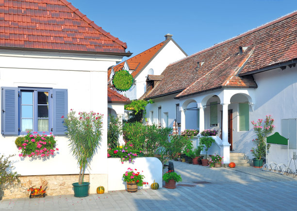 奥地利布尔根兰新厄德勒湖莫尔比什葡萄酒村的小巷图片下载