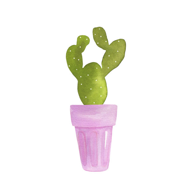 可爱的仙人掌在玻璃杯孤立在白色的背景图片下载
