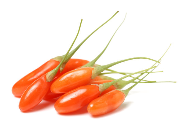 枸杞孤立在白色背景上图片下载