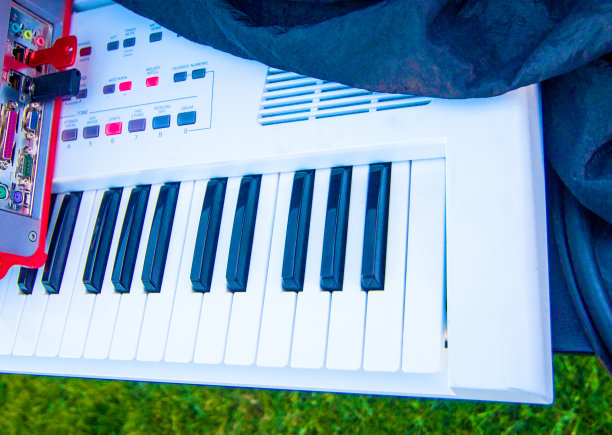 电子钢琴键盘的黑白键图片下载