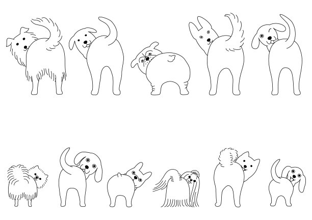 一组有趣的狗展示他们的屁股图片下载