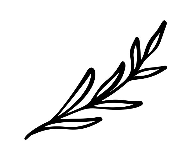 手绘矢量复古花元素-月桂叶花漩涡和羽毛。野生和自由。完美的邀请贺卡，引用博客，婚礼框架，海报图片下载