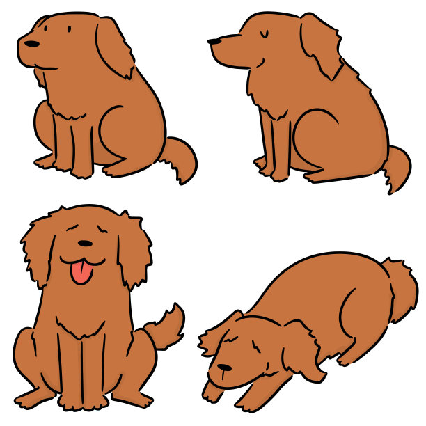 狗,金毛猎犬图片下载