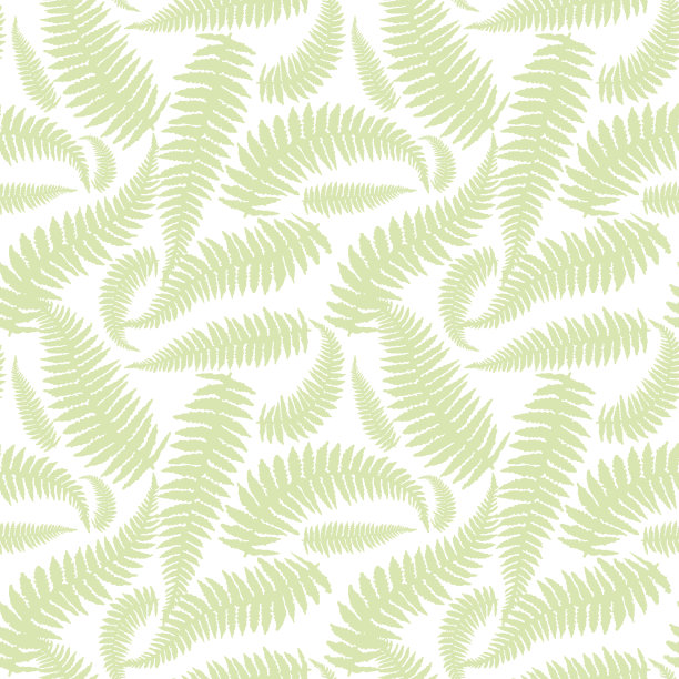 蕨叶的无缝图案。图片下载