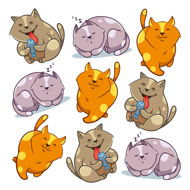 猫的模式图片下载