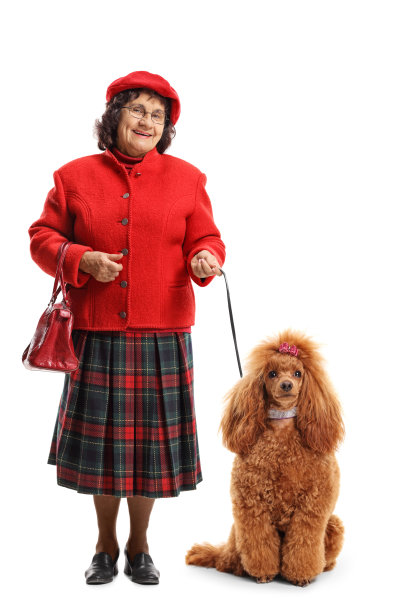 一位年长的女士和一只红色狮子狗站在一起图片下载