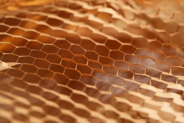 特写镜头纸图片下载